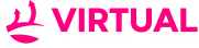 Virtual Minds Hub – Web Hosting